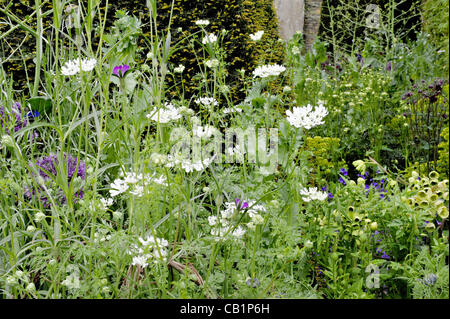 One of the many beautiful gardens at the RHS Chelsea Flower Show 2012 in London, UK Stock Photo