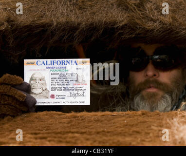 May 26, 2012 - Arcata, CA, USA -  A 'Big Foot' crew member displays his California driver's license on the first day of the 44th Annual Kinetic Grand Championship, a three-day, 42-mile bicycle race for all-terrain, human-powered art sculptures. Stock Photo