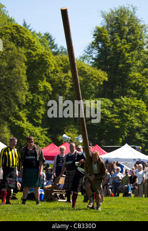 27.05.2012, Blair Castle, Perthshire, Scotland, Ben Fogle, Television Presenter, tossing the caber at Blair Atholl Gathering weekend. UK. Stock Photo