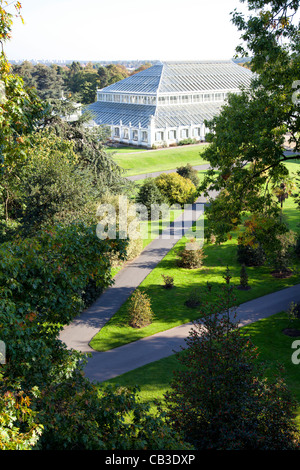 View of Temperate House at Kew Gardens from Xstrata Treetop Walk - London Stock Photo