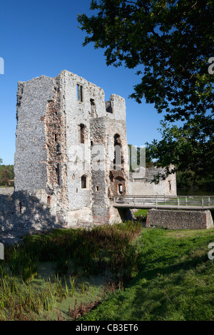 Ruins of Baconsthorpe Castle, Norfolk Stock Photo
