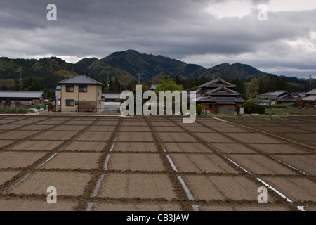 View over rice paddies in the small Japanese village of Seiwa, Mie prefecture, western Honshu, Japan. Stock Photo