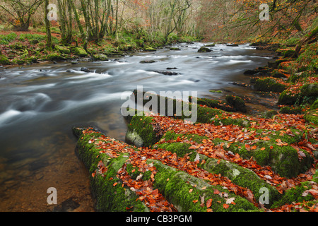 The River Barle near Tarr Steps. Autumn. Exmoor National Park. Somerset. England. UK. Stock Photo
