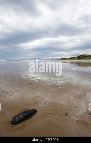 Mount Heemskirk range and Mount Dundas Regional Reserve dunes from beach, West Coast, Tasmania, Australia Stock Photo