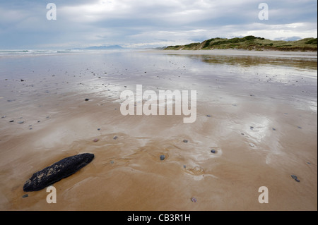 Mount Heemskirk range and Mount Dundas Regional Reserve dunes from beach, West Coast, Tasmania, Australia Stock Photo