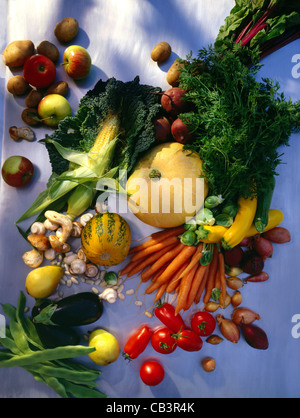 Still several vegetables: Pumpkin, potatoes, corn, carrots, mangel, mushrooms, tomatos, onions, aubergine, beans, beetroot, zucc Stock Photo