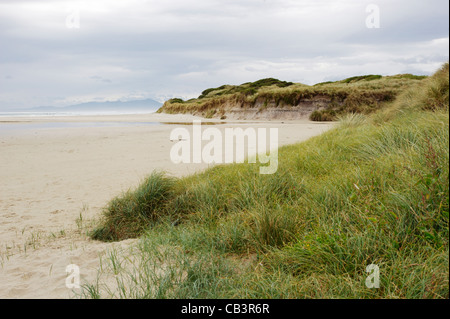 Mount Heemskirk range from Mount Dundas Regional Reserve dunes, West Coast, Tasmania, Australia Stock Photo