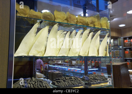 dried shark fins in a seafood shop on sheung wans dried seafood street on des voeux road west hong kong island hksar china