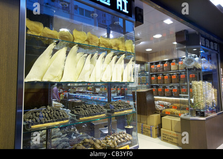 dried shark fins in a seafood shop on sheung wans dried seafood street on des voeux road west hong kong island hksar china Stock Photo