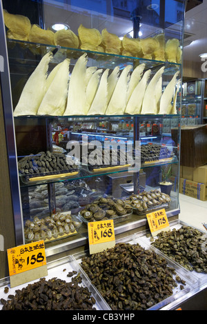 dried shark fins abalone fish maw sea cucumbers and oysters in a seafood shop on sheung wans dried seafood street on des voeux Stock Photo