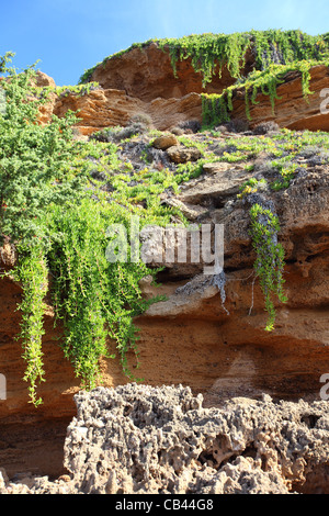 Sardinia, Cagliari, Italy, Costa Verde, coastline sea at Marina de Arbus, Punta Campu Sali Stock Photo