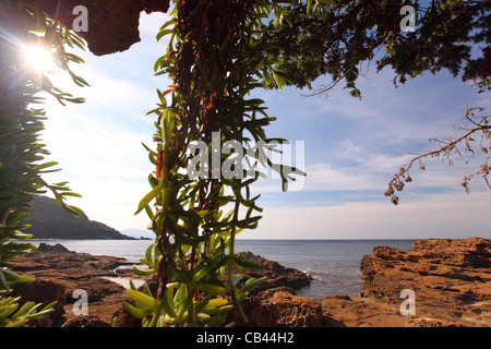 Sardinia, Cagliari, Italy, Costa Verde, coastline sea at Marina de Arbus, Punta Campu Sali Stock Photo