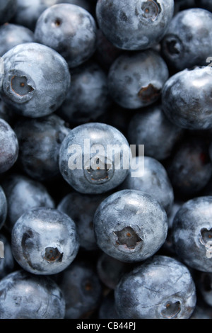 Blueberries photographed in a studio Stock Photo