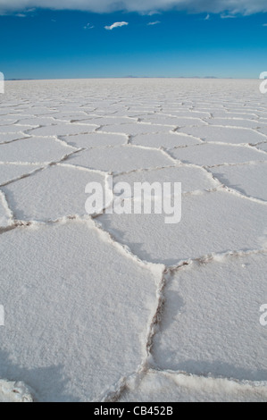 Salar de Uyuni salt flat Stock Photo
