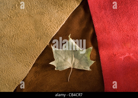 Red, brown, and beige cow leather texture close up with autumn leaf. Useful as background. Stock Photo
