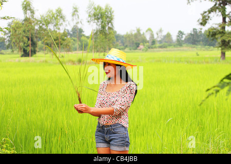 Woman holding a rice plant in Thailand. Stock Photo