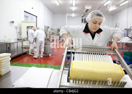 Irish artisan producer of dairy products Glenilen Farm dairy producer County Cork Ireland. Photo:Jeff Gilbert Stock Photo