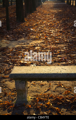 Stone seat and autumn leaves in Jardin des Tuileries, Paris, France