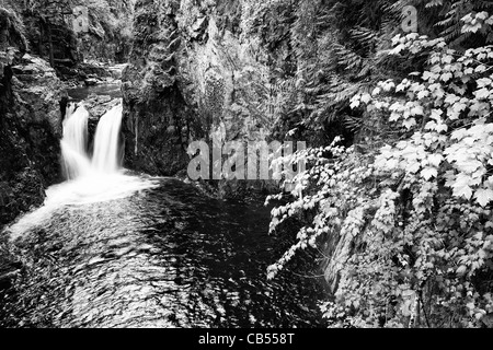 Englishman's Falls, near Parksville on Vancouver Island, British Columbia, Canada. Stock Photo