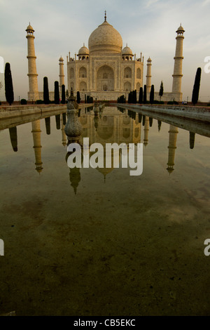 taj mahal monument architecture palace reflections Stock Photo