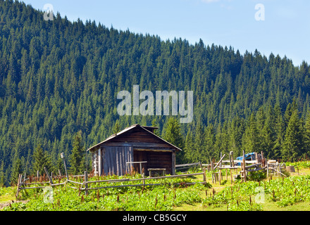 Summer mountain plateau landscape with farm shed on hill top Stock Photo