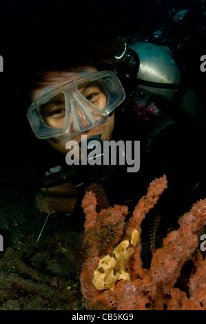 A diver and Painted Frogfish, Antennarius pictus, Lembeh Strait, Bitung, Manado, North Sulawesi, Indonesia, Pacific Ocean Stock Photo