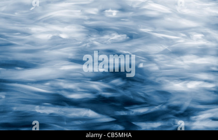 Fish in aquarium Stock Photo
