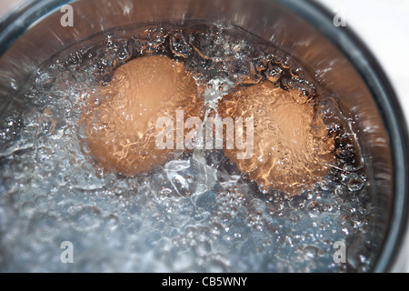 Detail of two brown hens eggs boiling in a pan of water Stock Photo