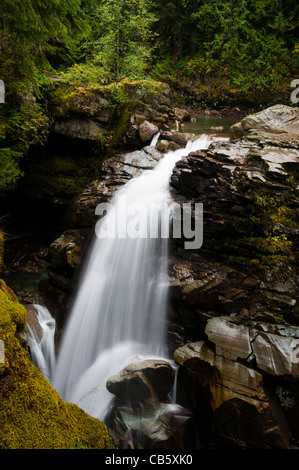 Nooksack River And Nooksack Falls North Cascades National Park Stock ...