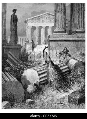 'Le Paon se Plaignant a Junon' (The Peacock Complaining to Juno