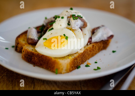 A Swedish classic open faced sandwich with sliced, hardboiled egg, topped with canned Swedish ansjovis (pickled sprats) Stock Photo