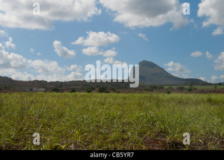 Island of Mauritius. Rugged volcanic countryside with typical sugar cane fields. Stock Photo