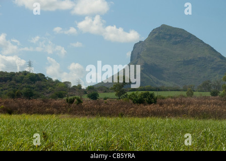 Island of Mauritius. Rugged volcanic countryside with typical sugar cane fields. Stock Photo