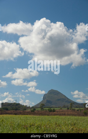 Island of Mauritius. Rugged volcanic countryside with typical sugar cane fields. Stock Photo