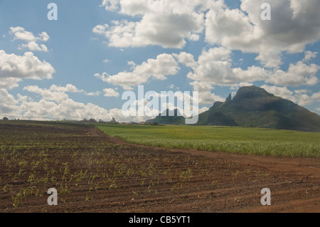 Island of Mauritius. Rugged volcanic countryside with typical sugar cane fields. Stock Photo