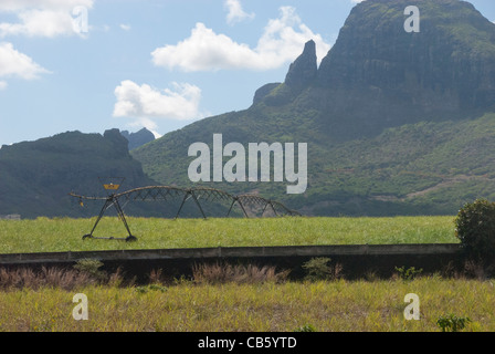 Island of Mauritius. Rugged volcanic countryside with typical sugar cane fields. Stock Photo