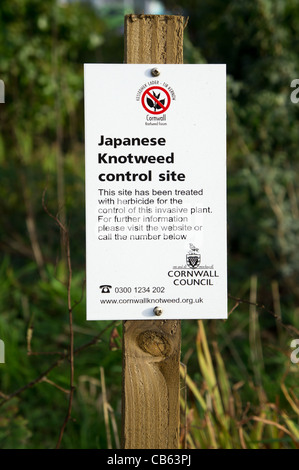 A japanese knotweed control site notice, cornwall, uk Stock Photo