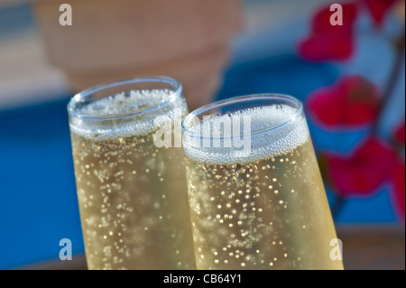 Close view on freshly poured glasses of champagne outdoors on sunny floral garden terrace with swimming pool in background Stock Photo
