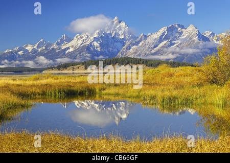 Early Morning Calm in Grand Teton National Park