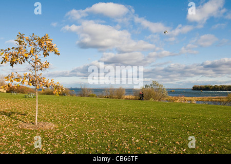 St Lawrence river and park  called The Honourable George O''Reilly park in Montreal Canada Stock Photo