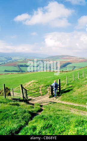 Man walking walker climbing stile on Offas Dyke Path near Discoed, south of Knighton, Powys, Wales. United Kingdom Stock Photo