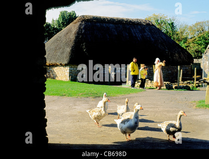 Cosmeston Medieval Village. Living history museum recreation of 14 C. site near Lavernock, Glamorgan, Wales, UK Stock Photo