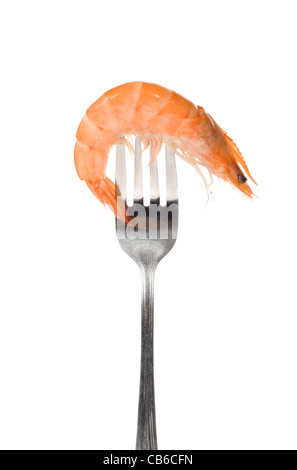 Shrimp on fork, photo on the white background Stock Photo