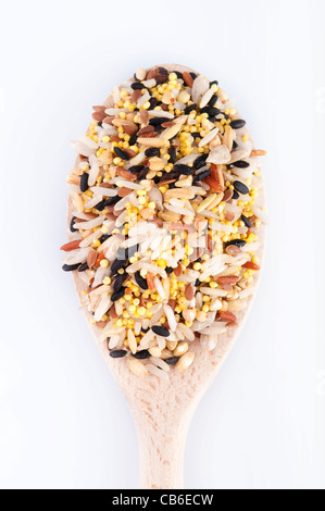 Multi Raw grains on wodden spoon, mixed of 12 different grains Stock Photo