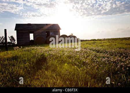 Old storage granary with field disk near clover field in Iowa. Hay bales. Sunset. Stock Photo