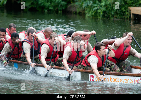 Servicemen from 9 Regiment Royal Logistics Corps take part in a dragon boat race on the river Avon in Chippenham Wiltshire Uk. Stock Photo