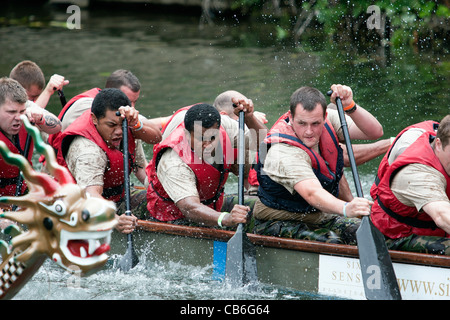 Servicemen from 9 Regiment Royal Logistics Corps take part in a dragon boat race on the river Avon in Chippenham Wiltshire Uk. Stock Photo