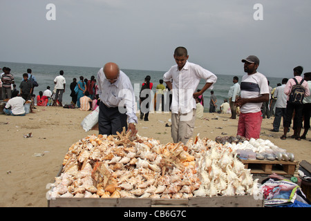 Tourists Purchasing Sea Shells And Marine Curios From A Vendor In ...