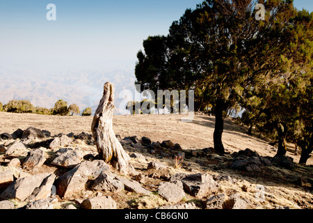 Dramatic landscape along the Northern Escarpment in the Simien Mountains National Park, Northern Ethiopia, Africa. Stock Photo