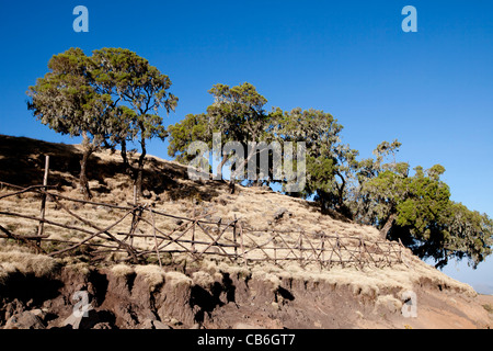 Dramatic landscape along the Northern Escarpment in the Simien Mountains National Park, Northern Ethiopia, Africa. Stock Photo